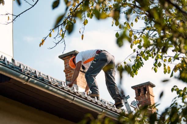 Best Roof Moss and Algae Removal  in Bainbridge Island, WA